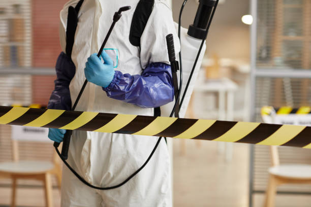 Professional Sewage Cleanup technician working in Doylestown, PA